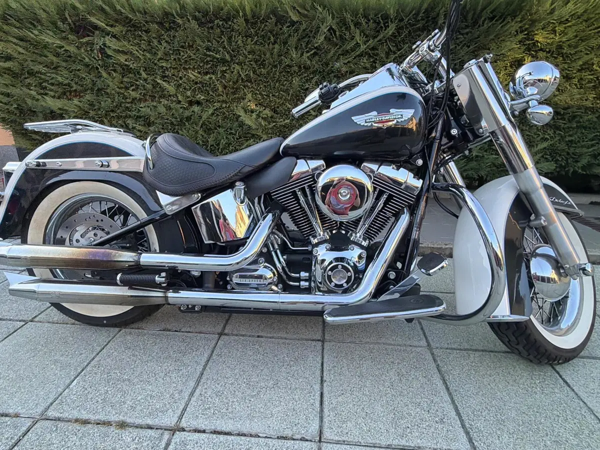 Harley-Davidson 1690 Deluxe ABS (2011 - 16) - FLSTN (12)