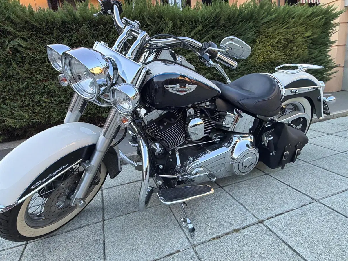 Harley-Davidson 1690 Deluxe ABS (2011 - 16) - FLSTN (13)