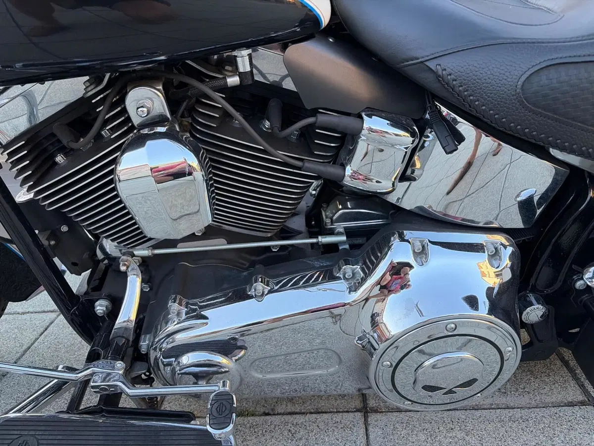 Harley-Davidson 1690 Deluxe ABS (2011 - 16) - FLSTN (16)