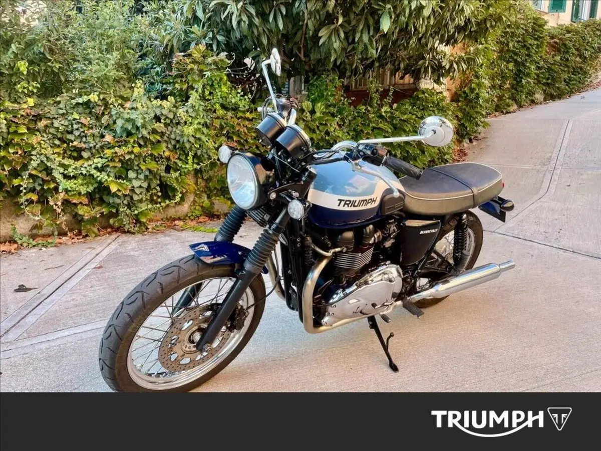 Triumph Bonneville T100 (2008 - 16) (9)