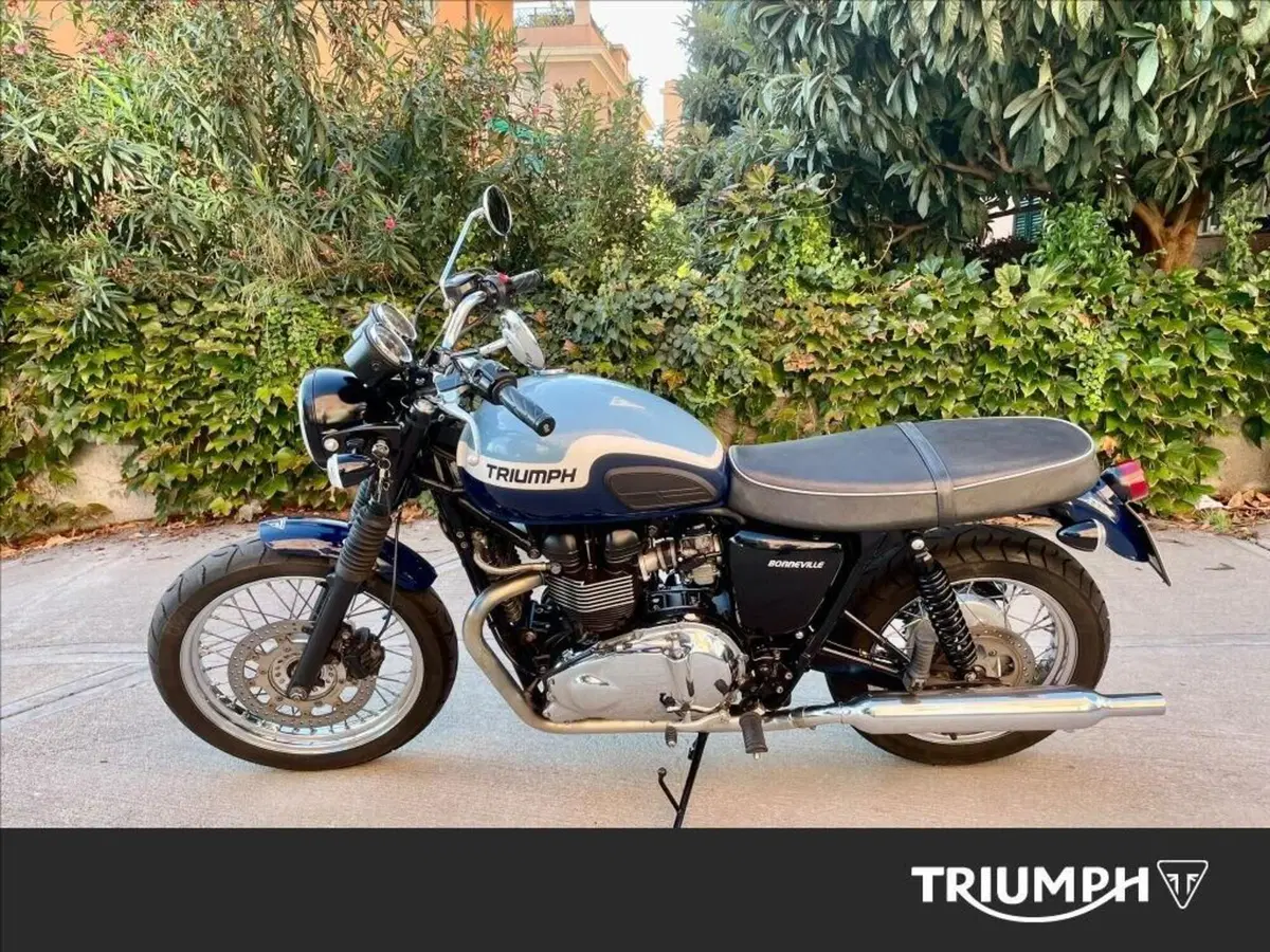 Triumph Bonneville T100 (2008 - 16) (16)