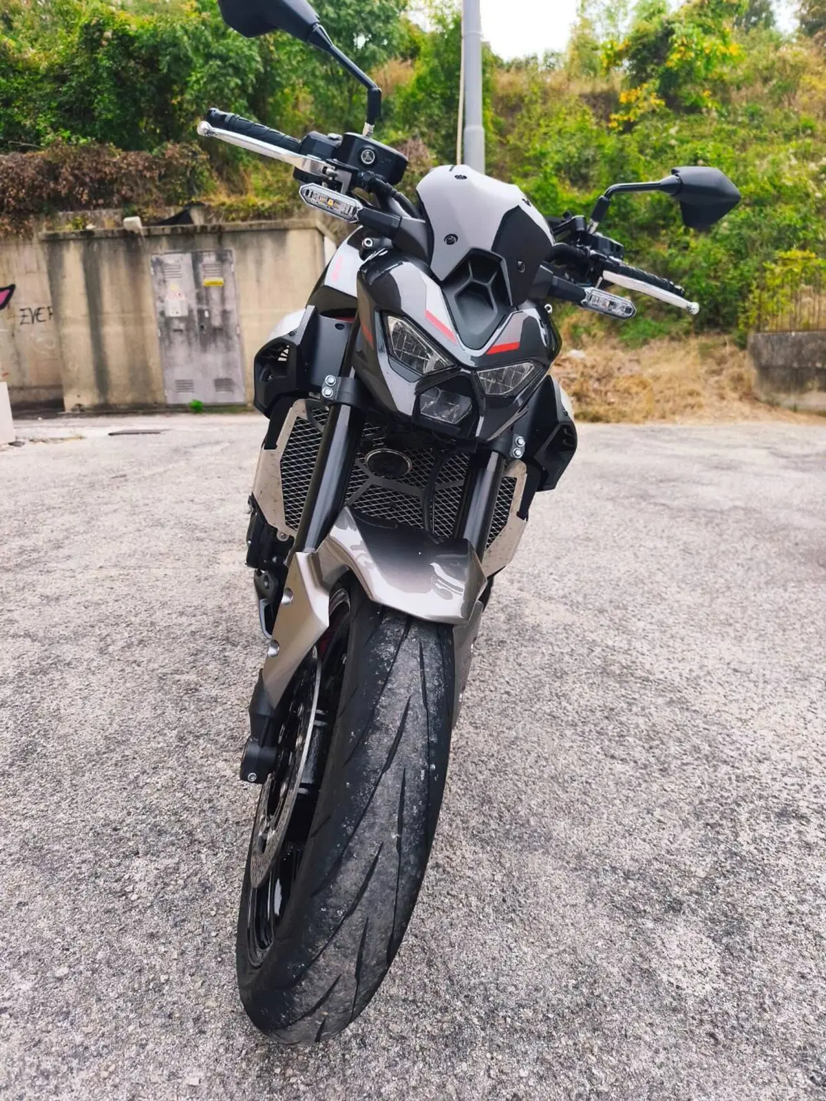Kawasaki Z 900 (2025 - 27)
