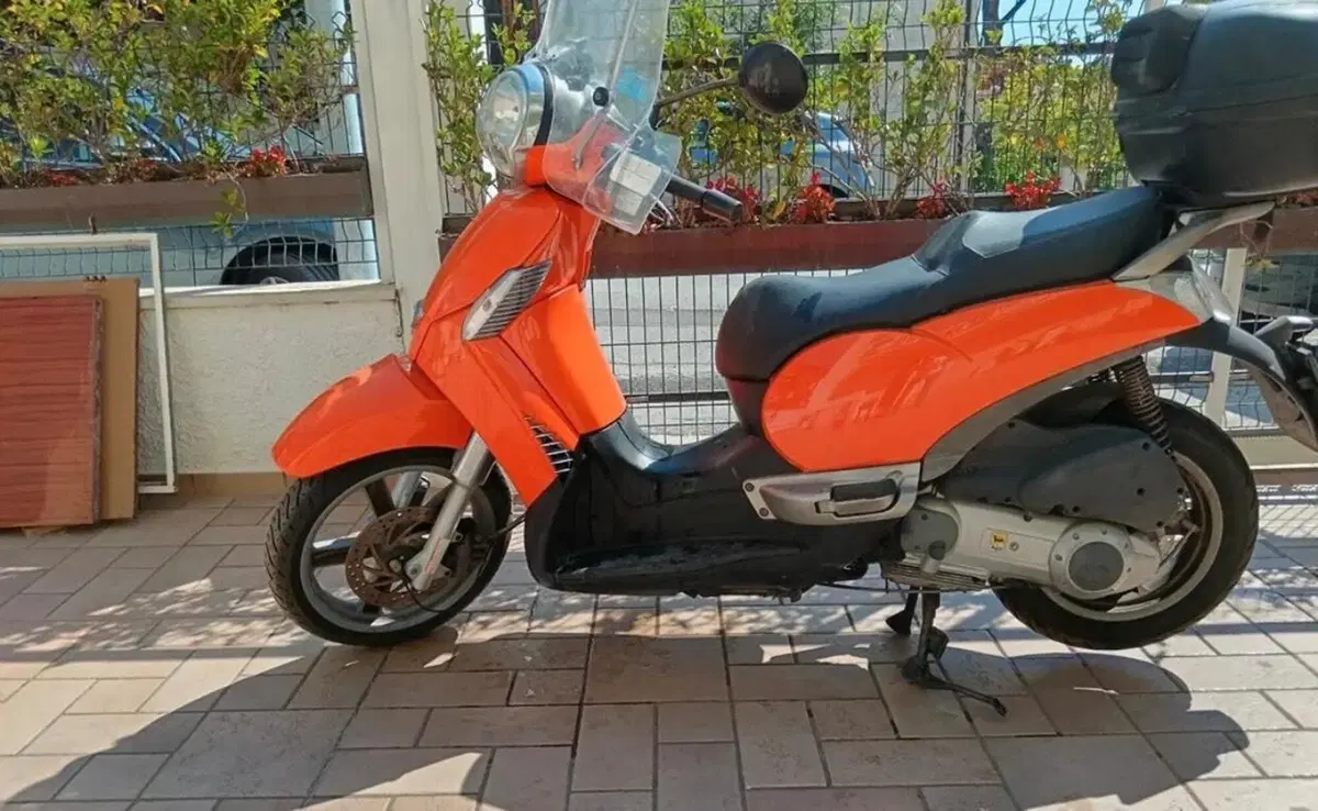 Aprilia Scarabeo 250 (2006 - 11) (2)