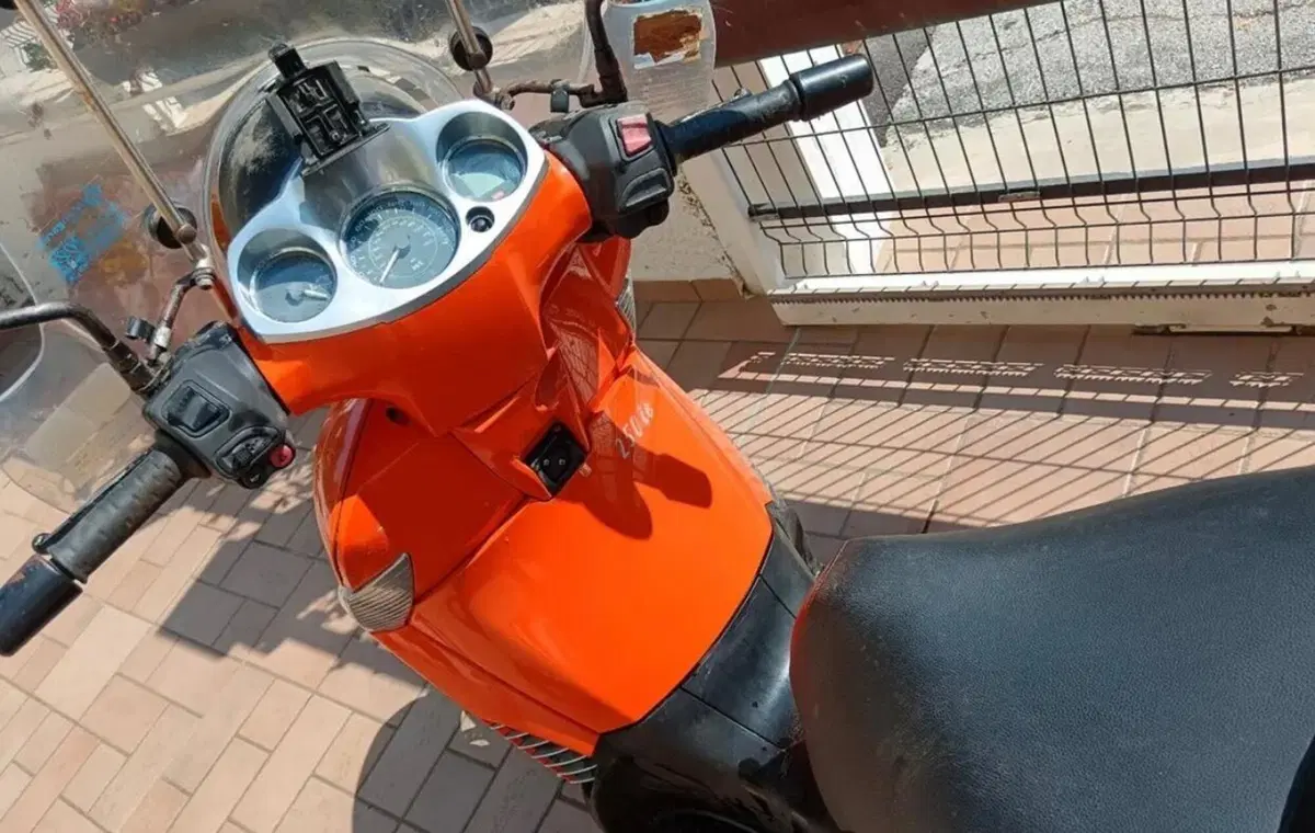 Aprilia Scarabeo 250 (2006 - 11) (3)