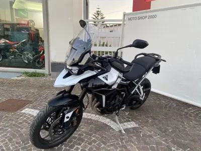Triumph Tiger 900 GT Pro (2024 - 26) usata