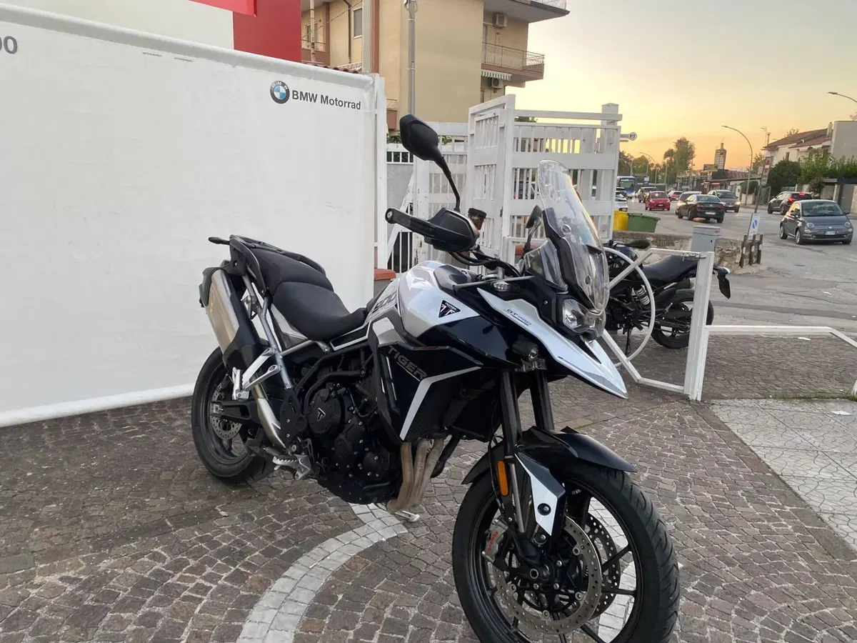 Triumph Tiger 900 GT Pro (2024 - 26) (2)