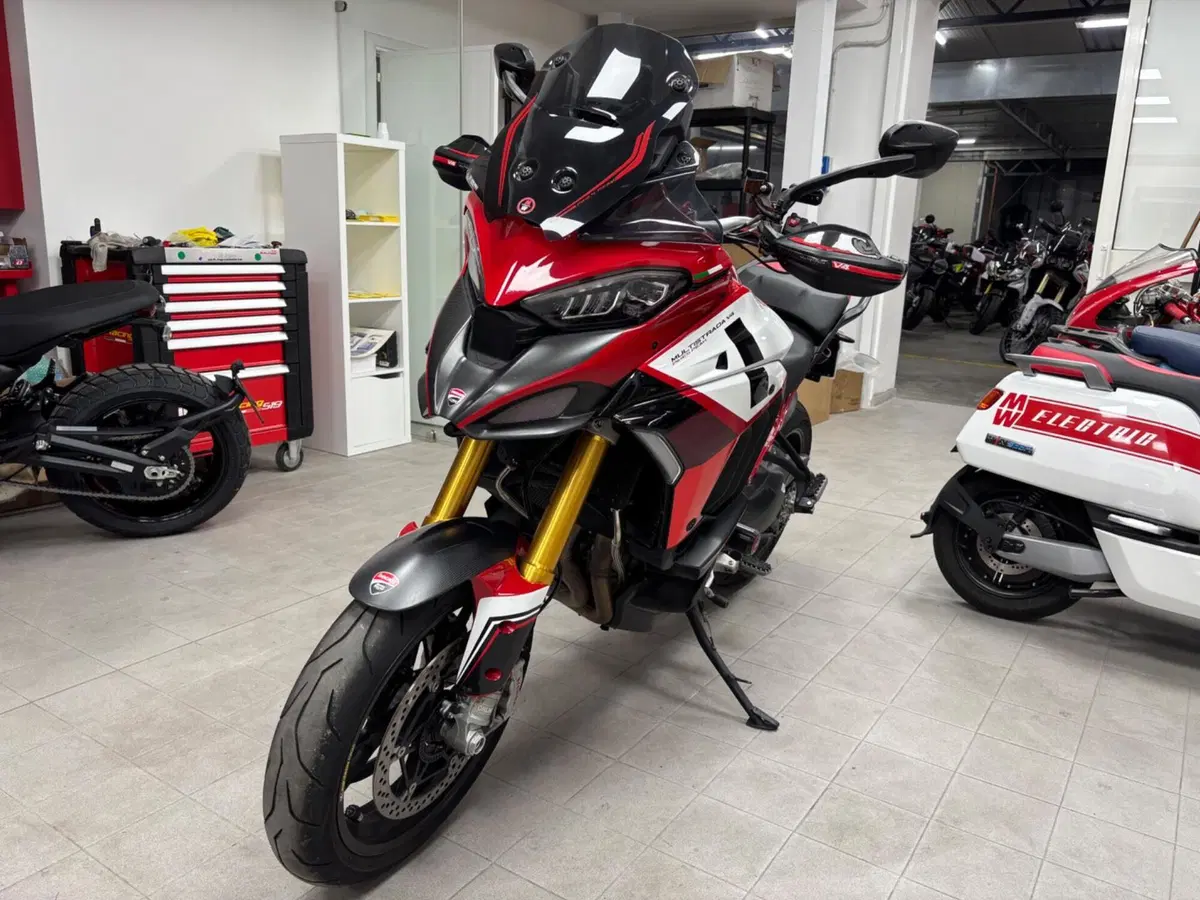 Ducati Multistrada V4 Pikes Peak (2021 - 24) (6)