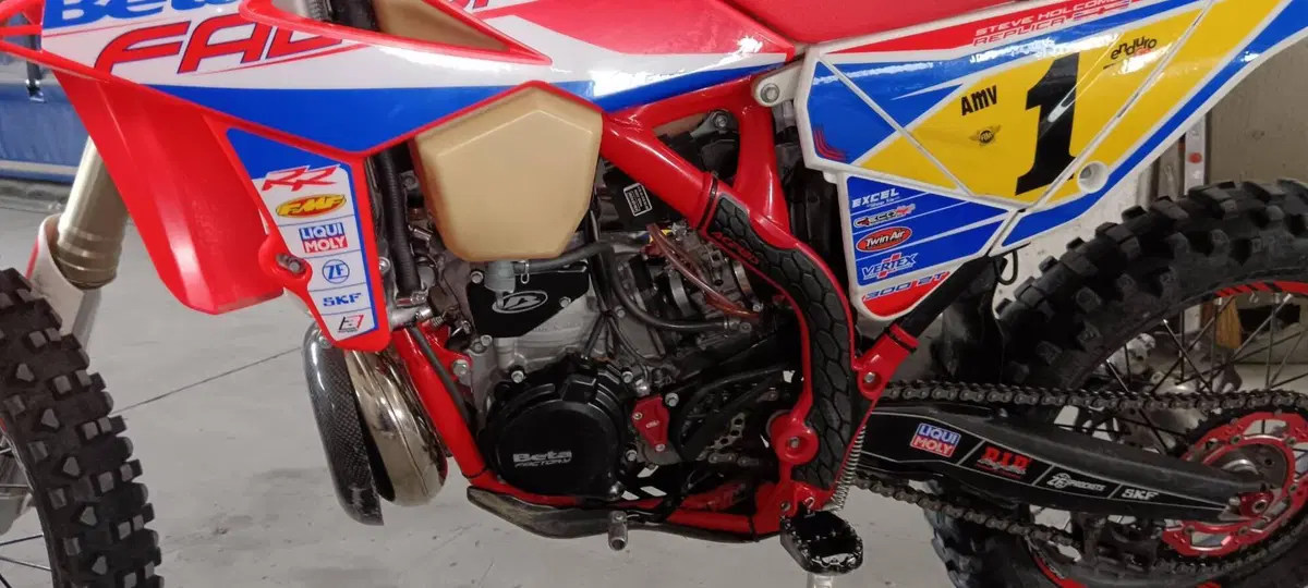 Betamotor RR 250 2T Enduro Racing (2019) (4)