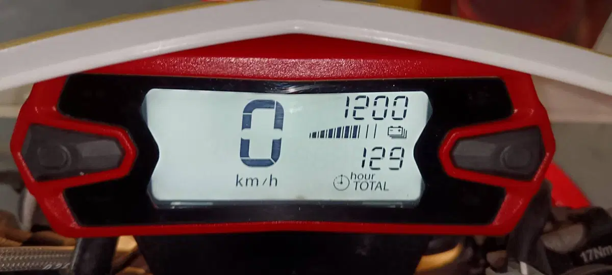 Betamotor RR 250 2T Enduro Racing (2019) (6)