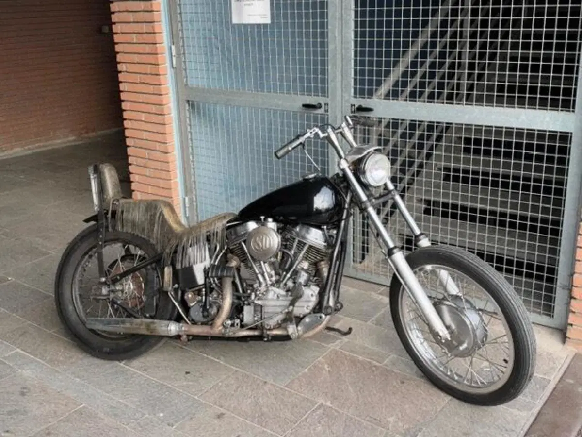 Harley-Davidson Panhead chopper (2)