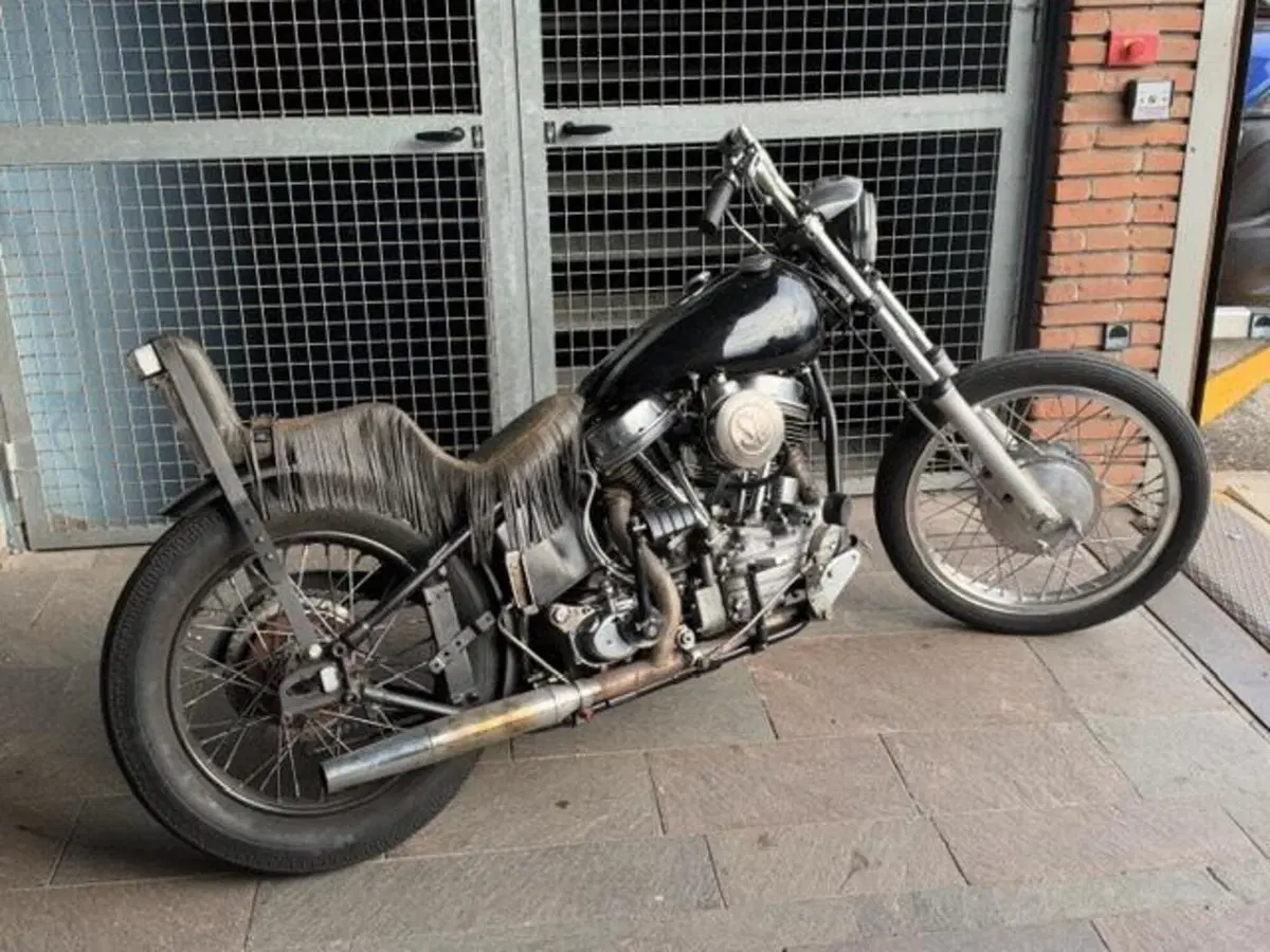 Harley-Davidson Panhead chopper (3)