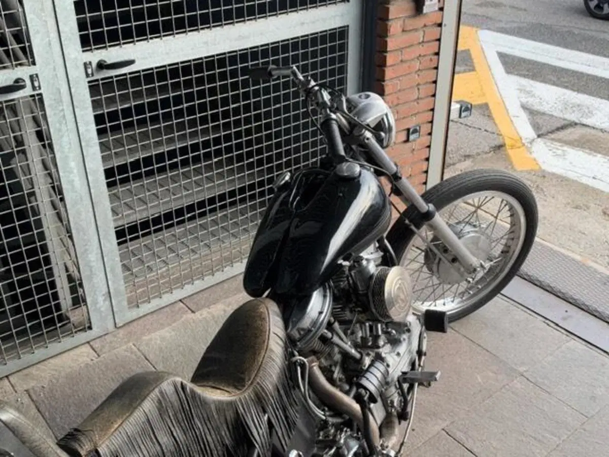 Harley-Davidson Panhead chopper (4)