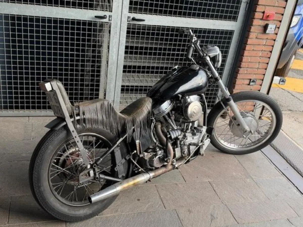 Harley-Davidson Panhead chopper (5)