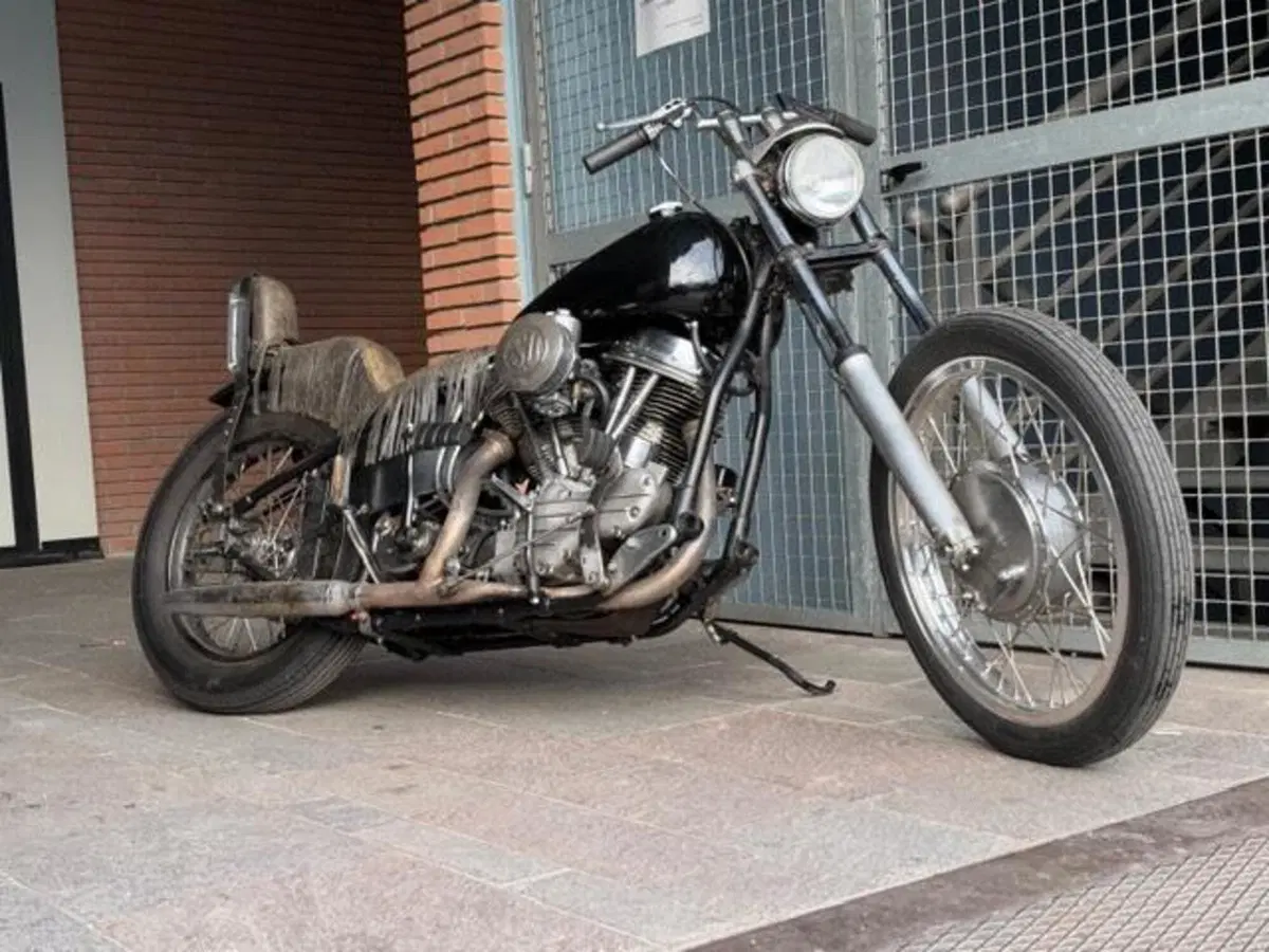 Harley-Davidson Panhead chopper (8)