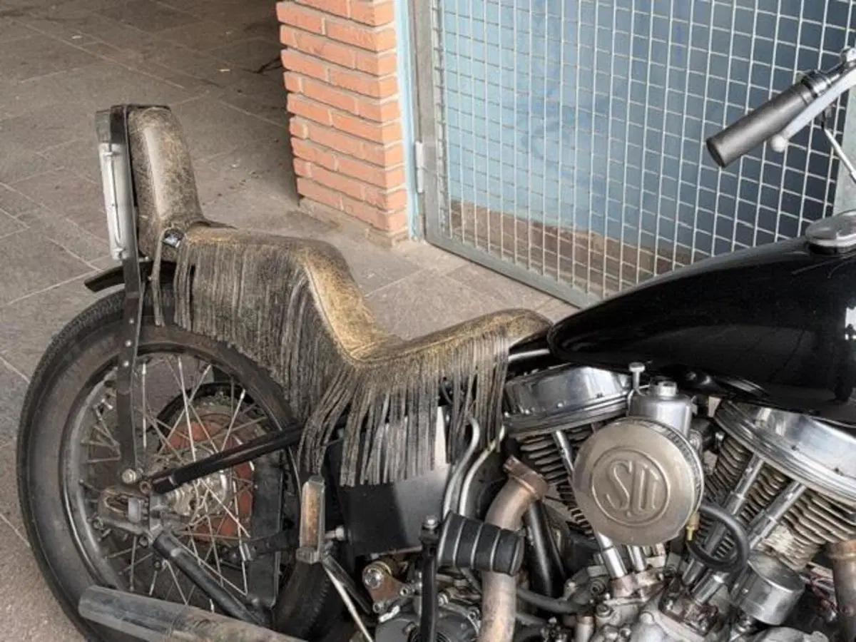 Harley-Davidson Panhead chopper (10)