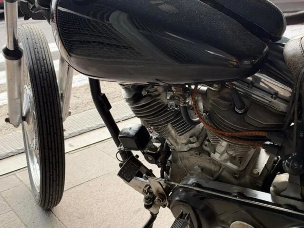 Harley-Davidson Panhead chopper (12)