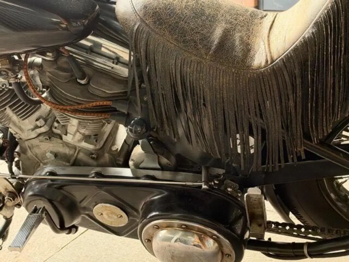 Harley-Davidson Panhead chopper (13)
