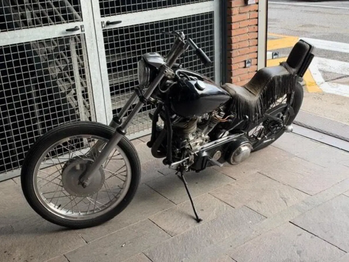 Harley-Davidson Panhead chopper (18)