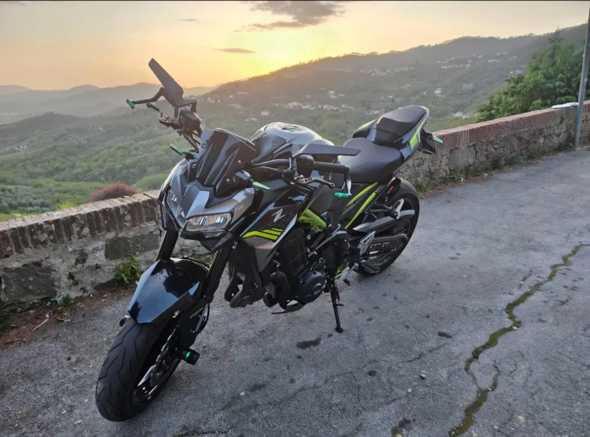 Kawasaki Z 900 (2021 - 24)