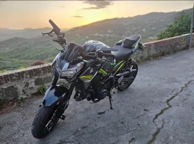 Kawasaki Z 900 (2021 - 24) usata