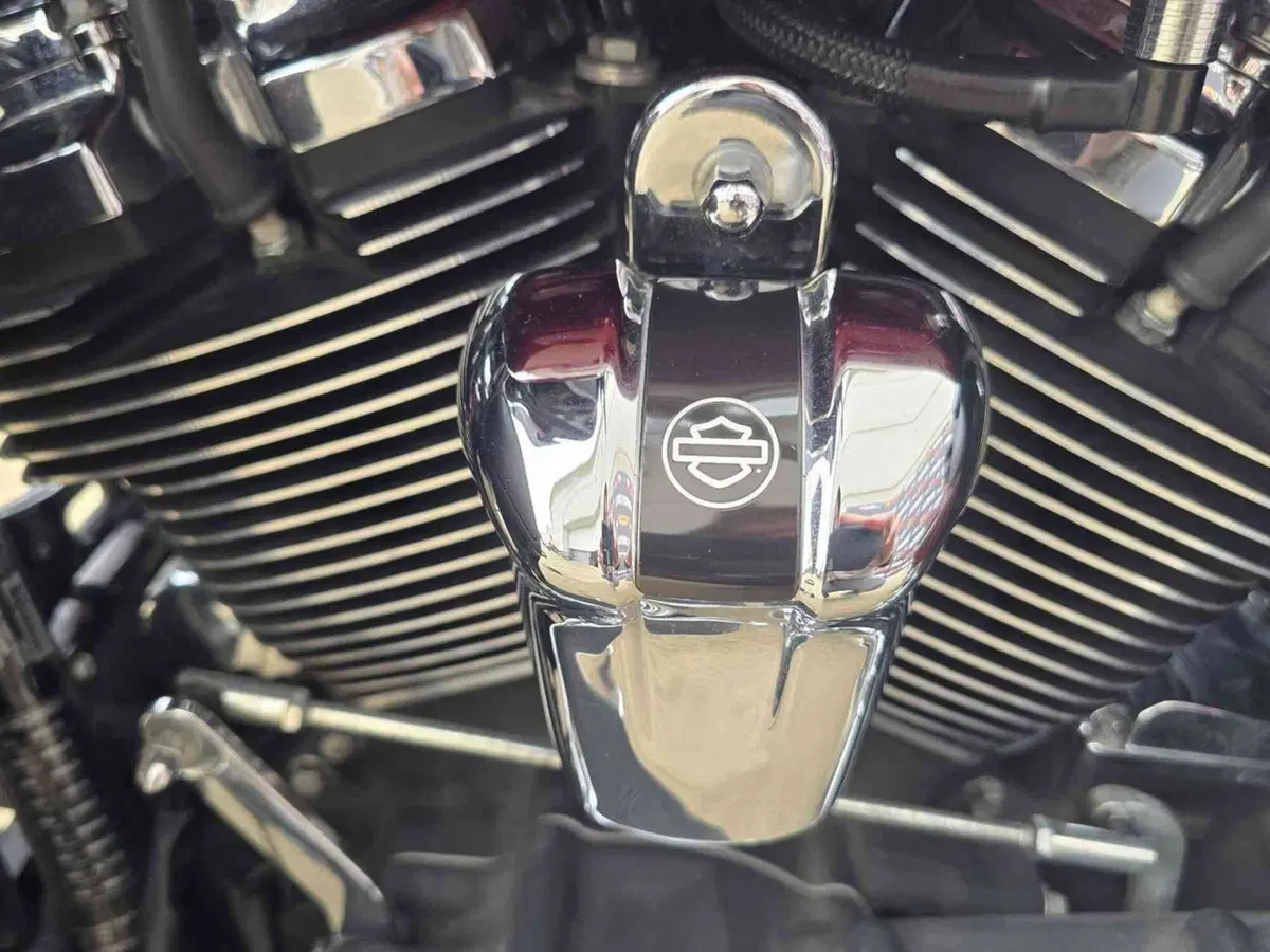 Harley-Davidson 107 Electra Glide Ultra Limited (2017 - 18) - FLHTK (32)