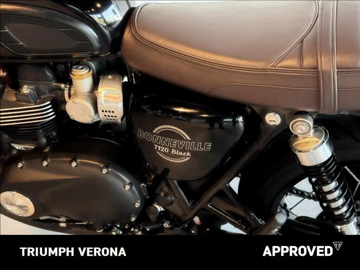 Triumph Bonneville T120 Black (2026) (9)