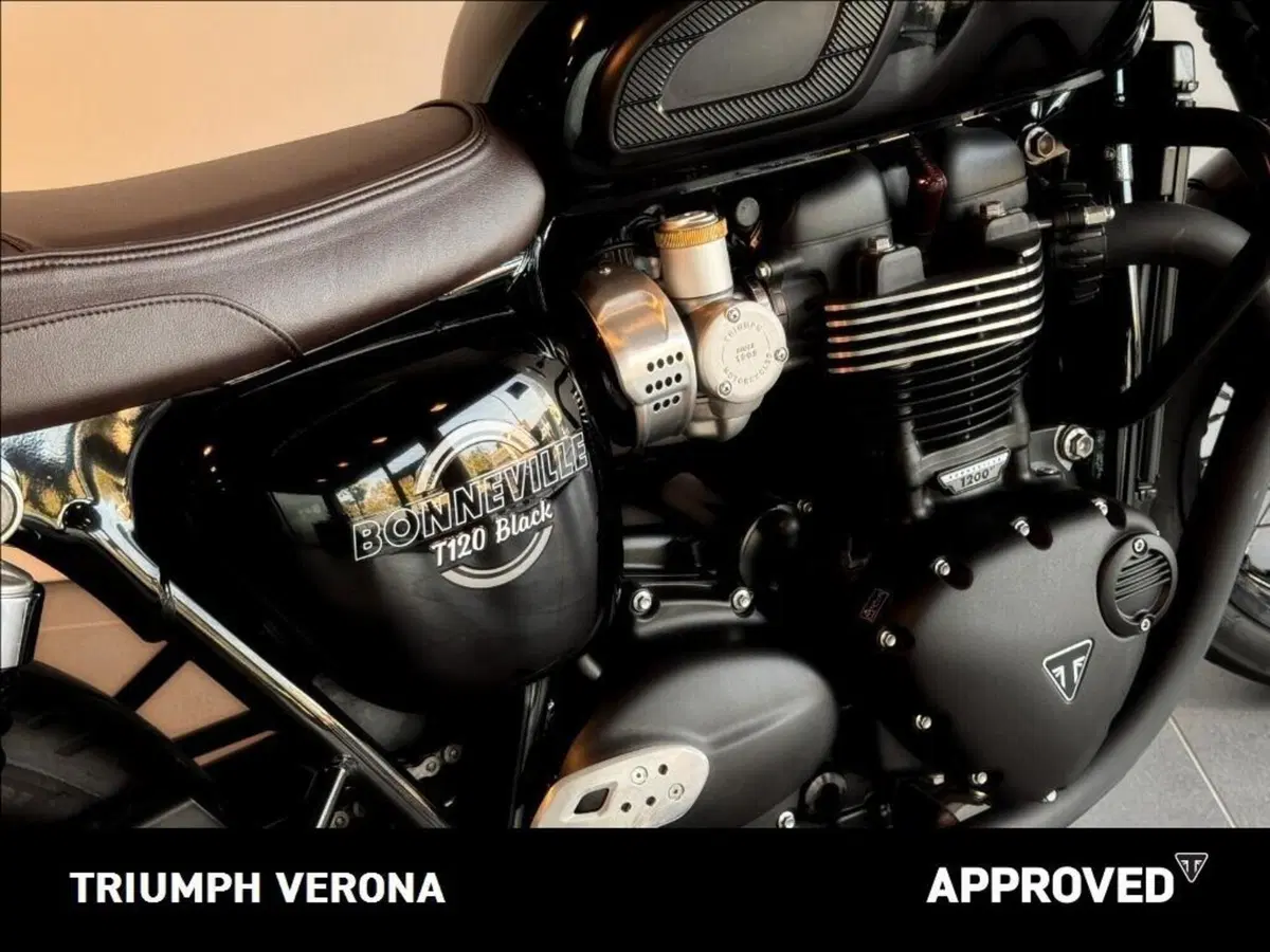 Triumph Bonneville T120 Black (2026) (6)