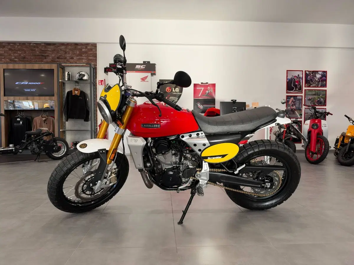 Fantic Motor Caballero 500 Scrambler 4T (2018 - 21) (2)