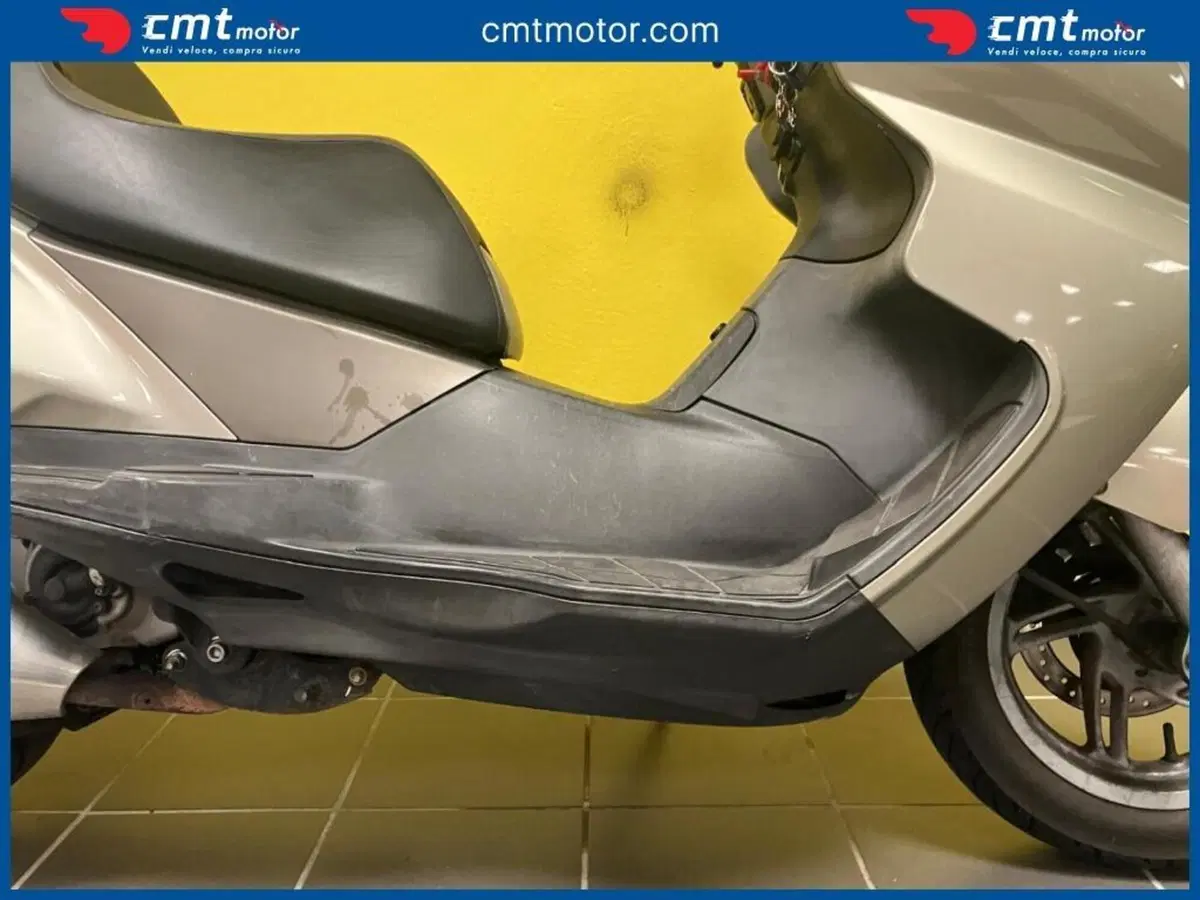 Aprilia Atlantic 250 (2004 - 11) (7)