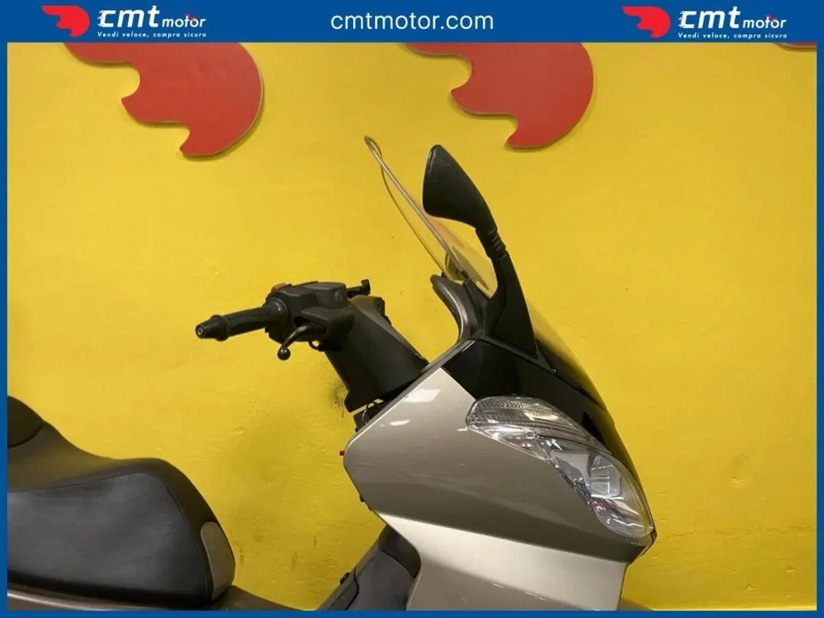 Aprilia Atlantic 250 (2004 - 11) (8)