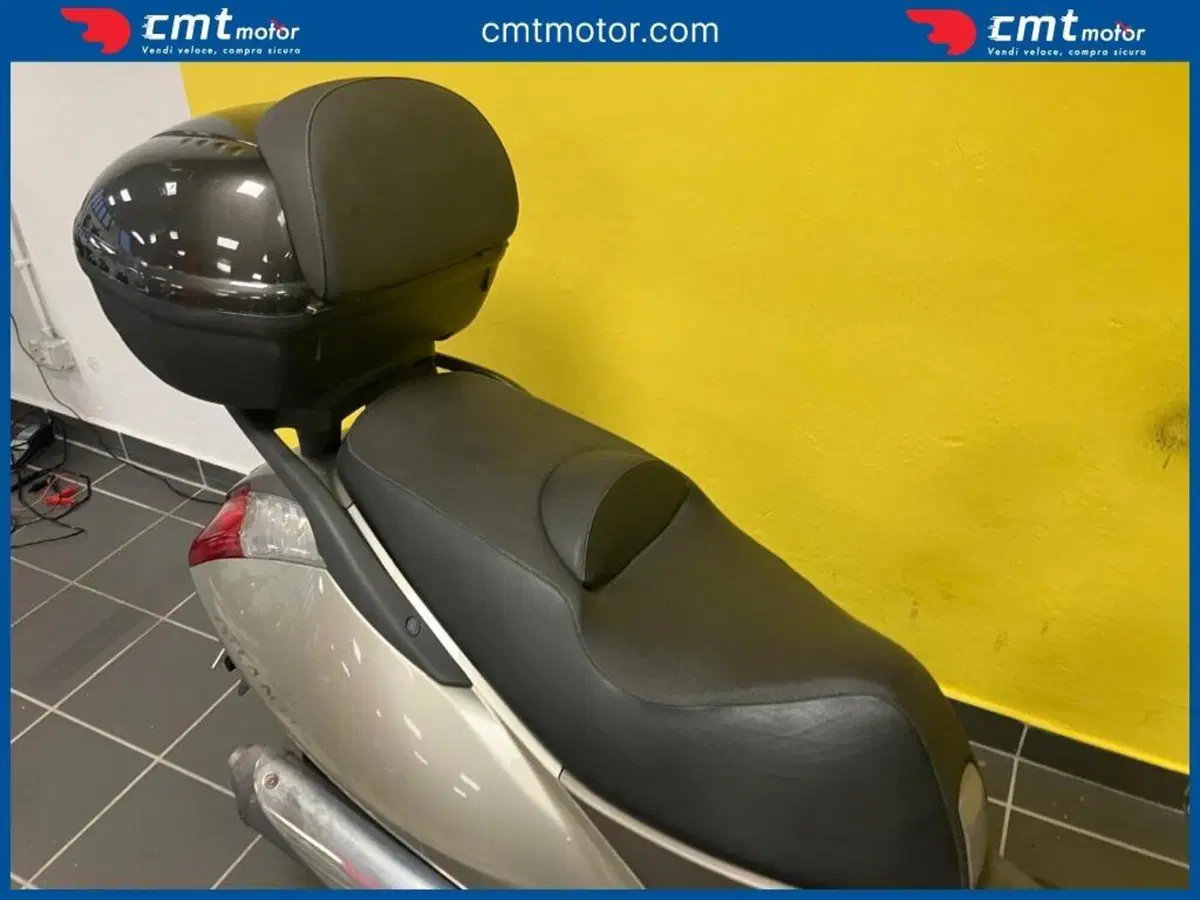 Aprilia Atlantic 250 (2004 - 11) (9)