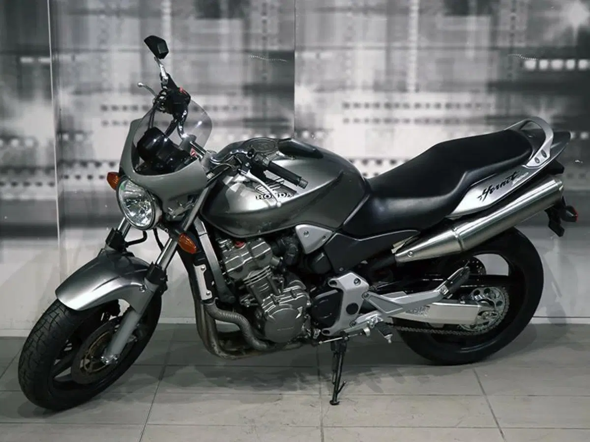 Honda Hornet 900 (7)