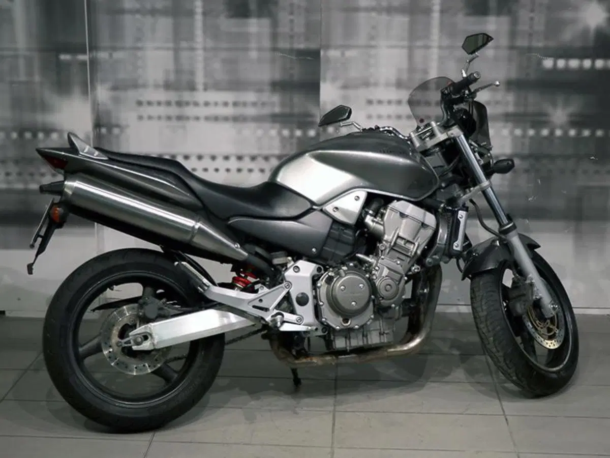 Honda Hornet 900 (8)