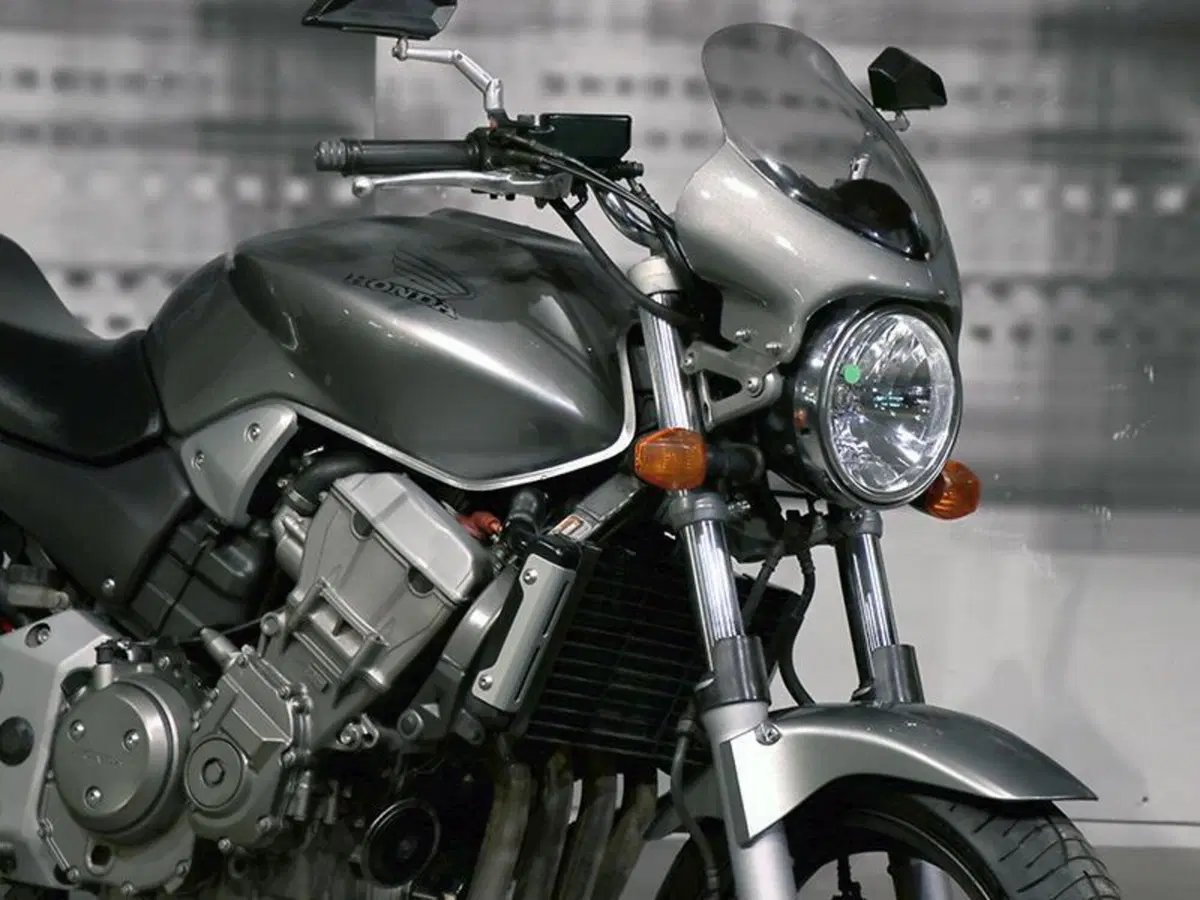 Honda Hornet 900 (9)