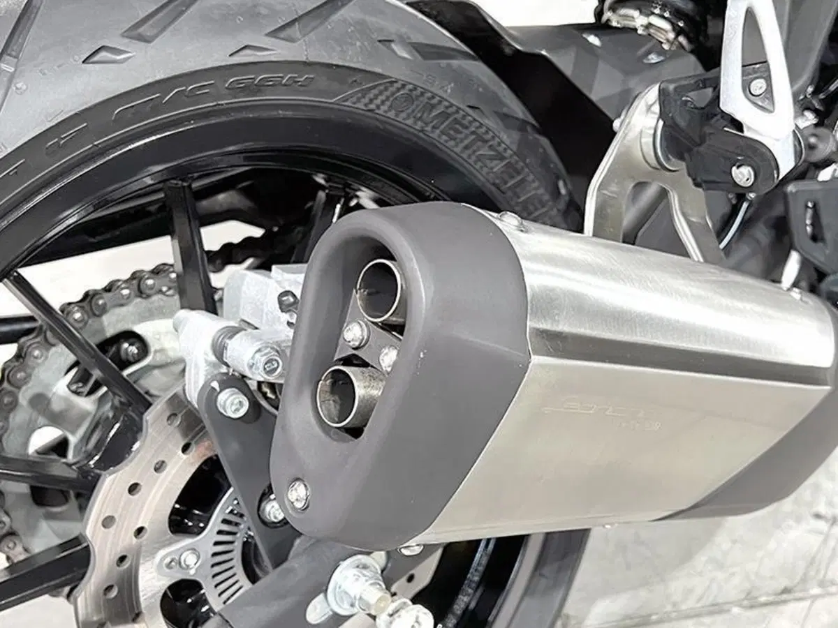 Benelli Leoncino 250 (2021 - 25) (4)