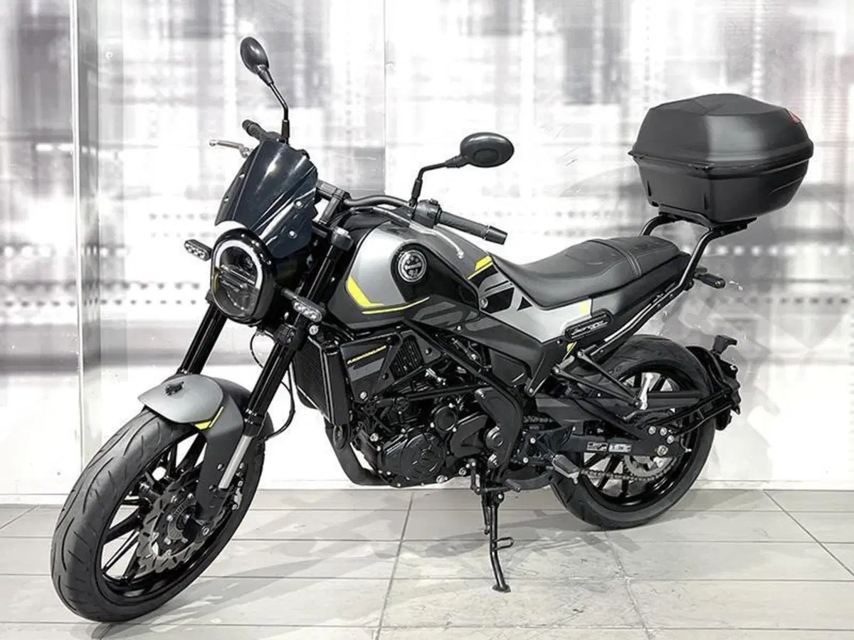 Benelli Leoncino 250 (2021 - 25) (7)