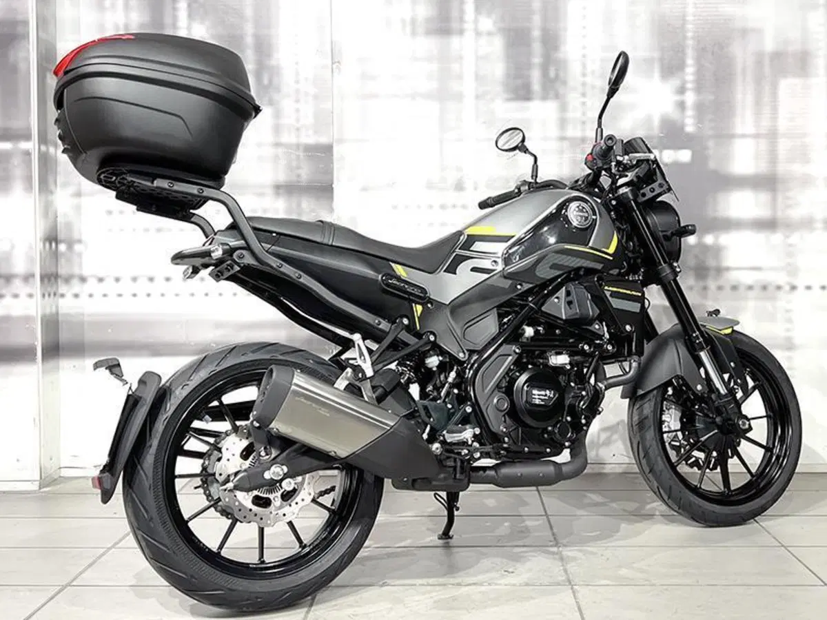 Benelli Leoncino 250 (2021 - 25) (8)