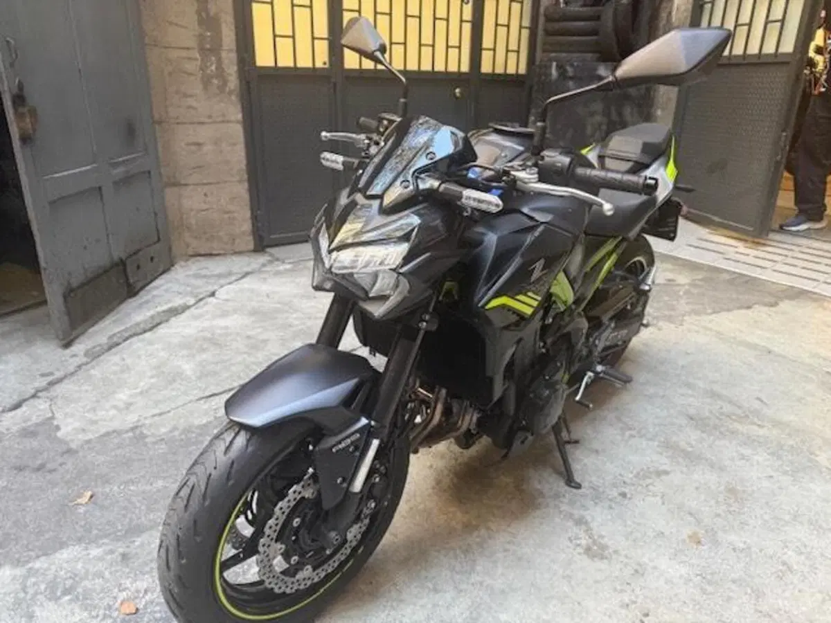 Kawasaki Z 900 (2021 - 24) (2)