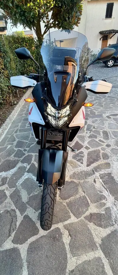 Honda Transalp XL750 Urban (2023 - 24) usata