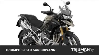 Triumph Tiger 1200 Rally Pro (2024 - 26) usata