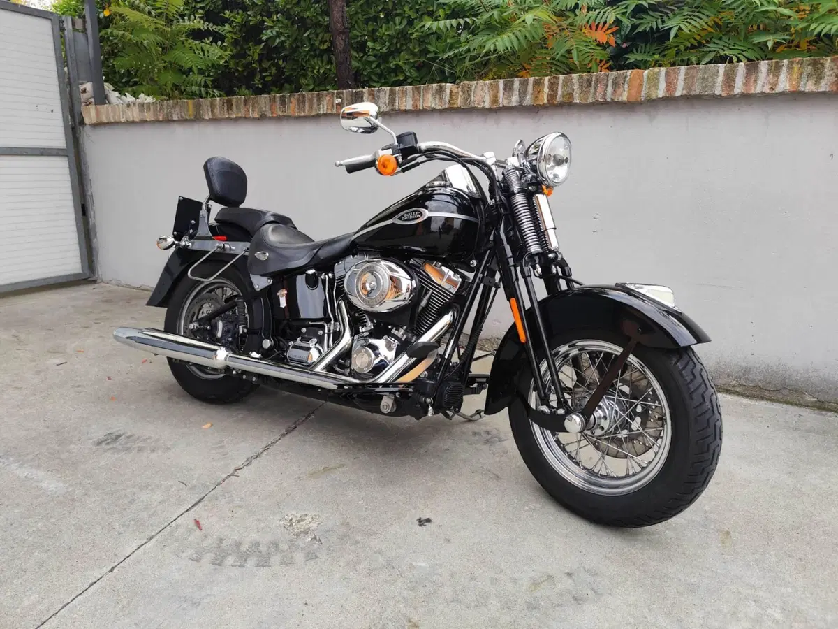 Harley-Davidson 1584 Springer Classic (2006 - 07) - FLSTSC (2)