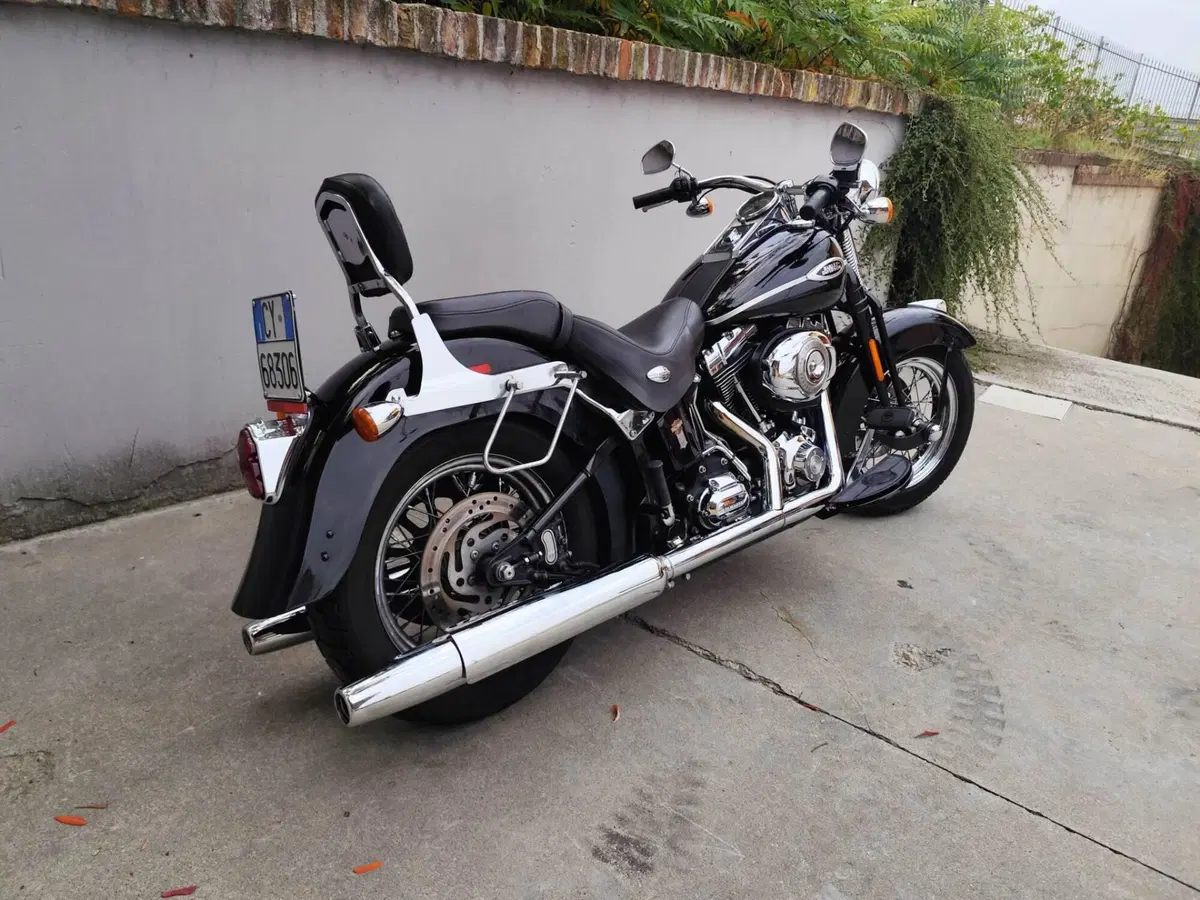 Harley-Davidson 1584 Springer Classic (2006 - 07) - FLSTSC (4)