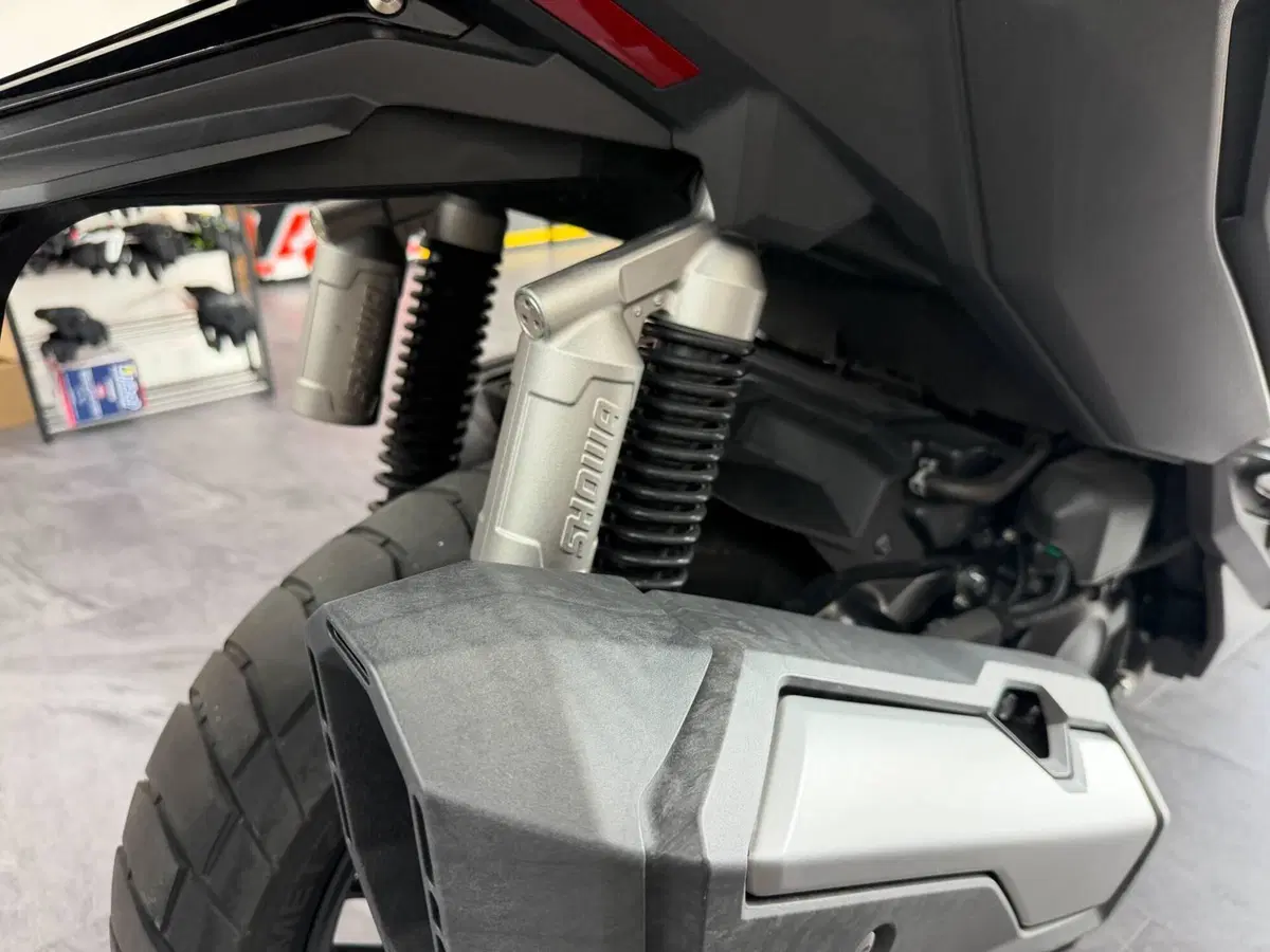Honda ADV 350 (2022 - 24) (9)