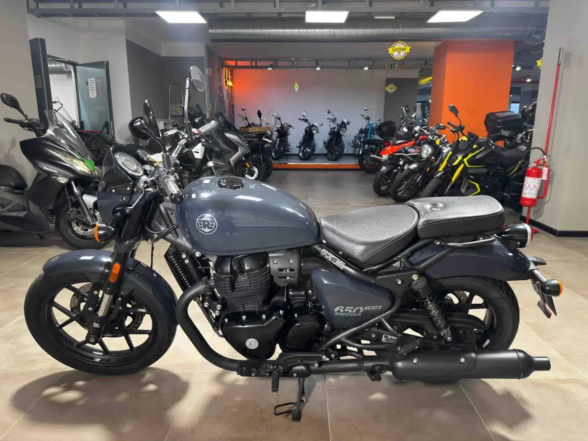 Royal Enfield Shotgun 650 (2024 - 26) (4)