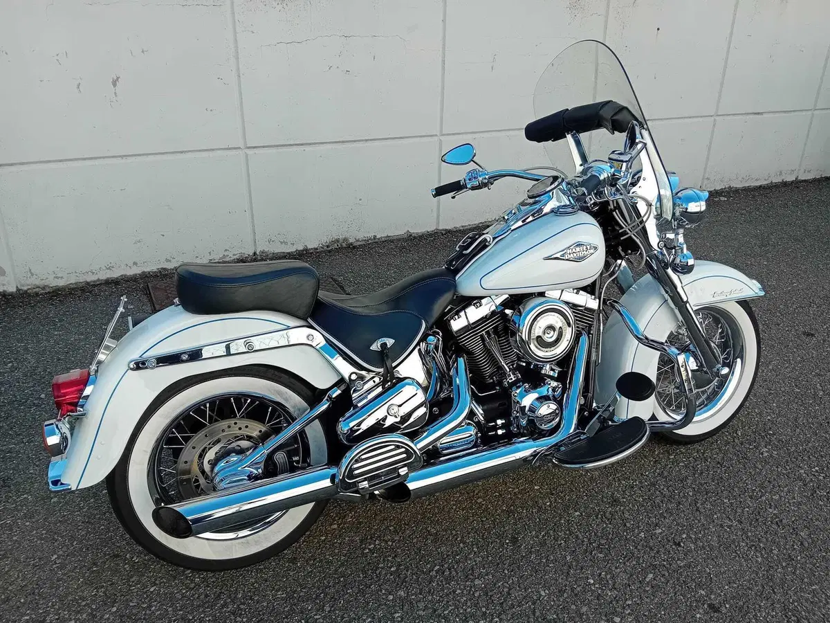 Harley-Davidson 1690 Heritage Classic (2011 - 17) - FLSTC (4)