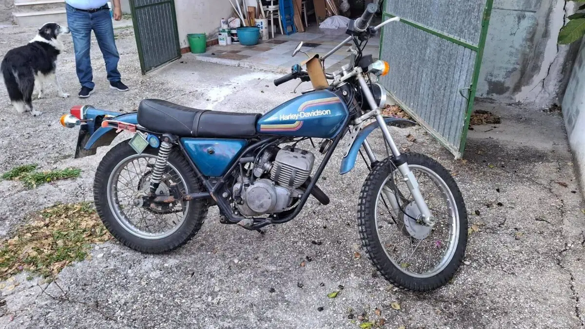 Aermacchi Harley-Davidson 6D SX 250 (4)