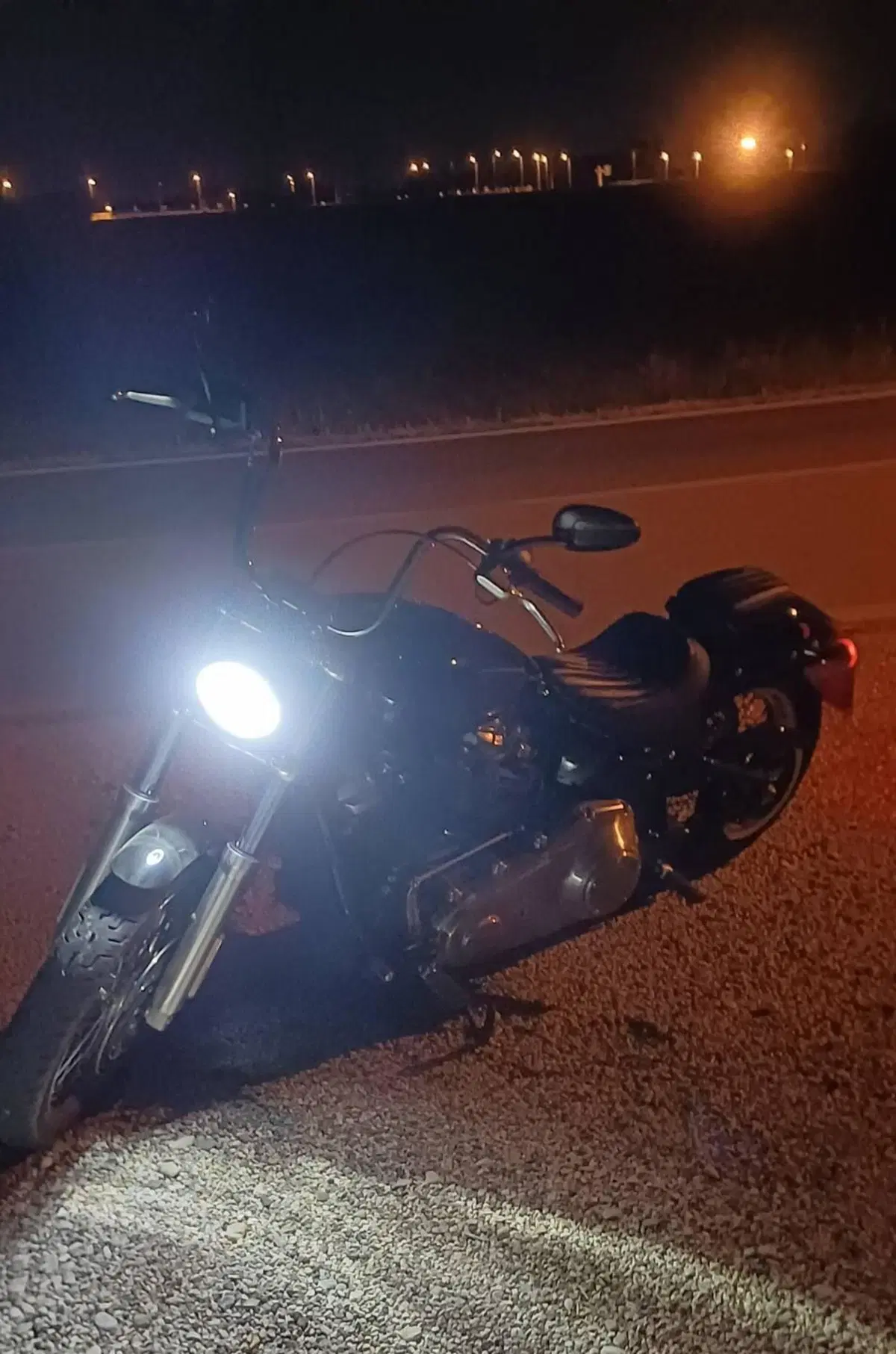 Harley-Davidson Softail Standard (2020) - FXST (2)