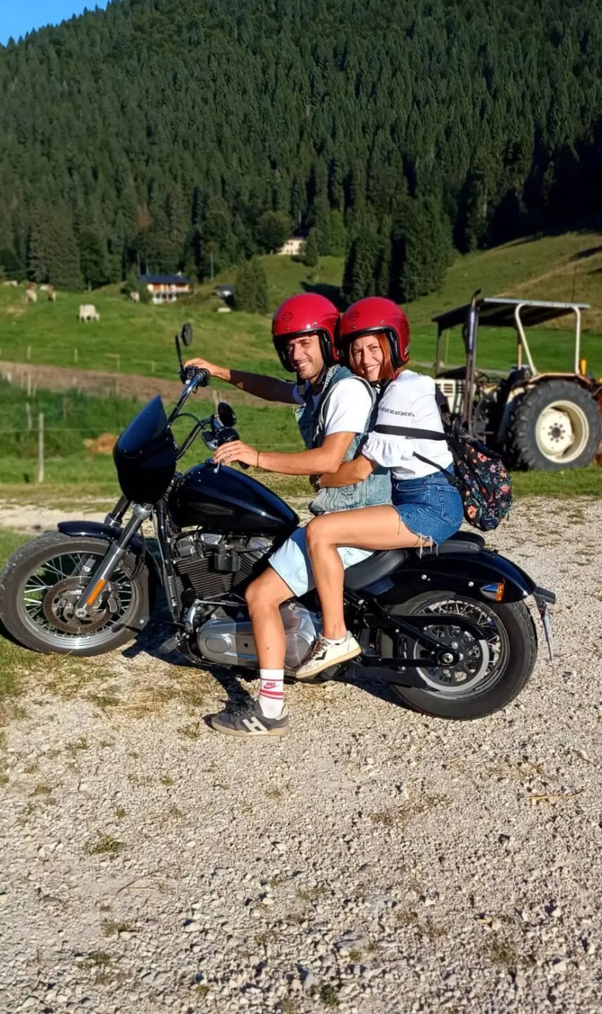 Harley-Davidson Softail Standard (2020) - FXST (3)