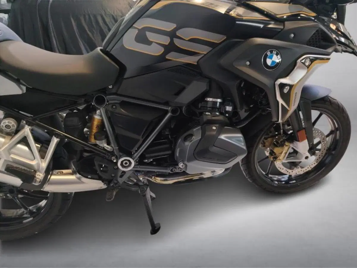 Bmw R 1250 GS (2019 - 20) (14)