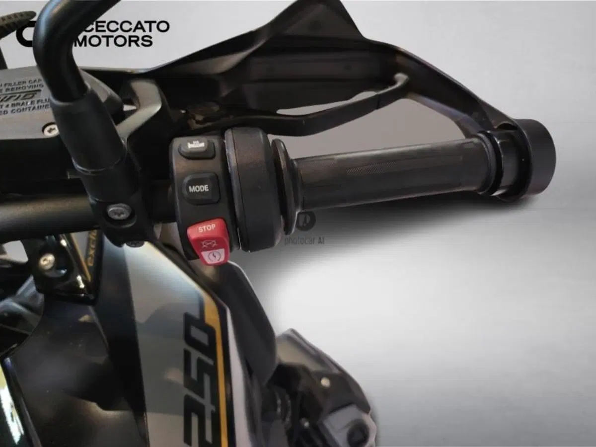 Bmw R 1250 GS (2019 - 20) (9)